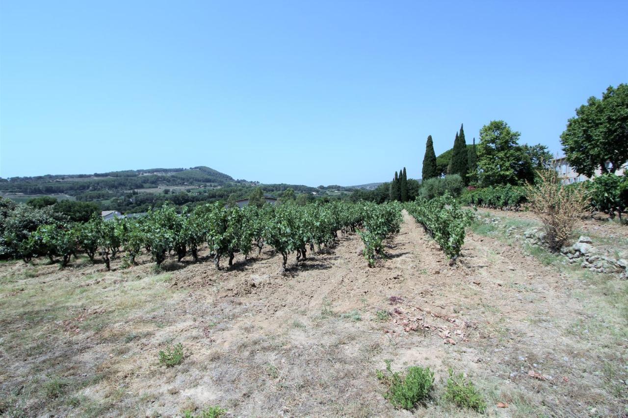 勒卡斯特雷特Bastide La Marraine别墅 外观 照片